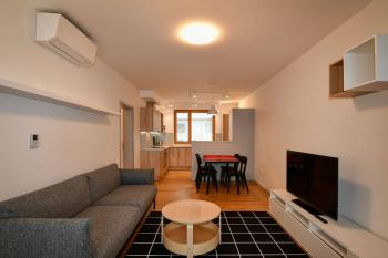 EFI Residence Holzova - Superior Two Bedroom Apartment - Living Room